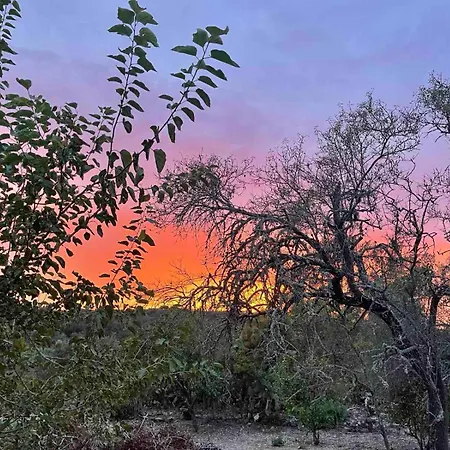 빌라 Orama Sunrise Gaios